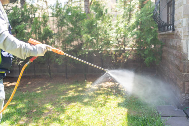 Best Mosquito Control  in Boise City, OK